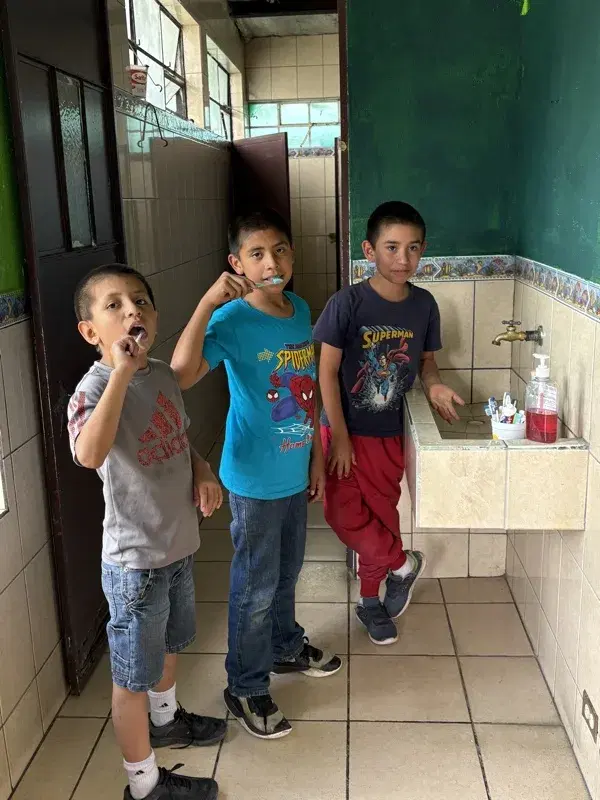 Boys brushing their teeth before bed